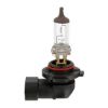 Bulb, headlight H10 42W PY20d