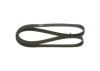 V-Ribbed Belt VAG - 079 903 137 T - 5PK1135