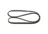 V-Ribbed Belt VAG - 079 903 137 T - 5PK1135