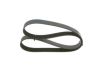 V-Ribbed Belt -