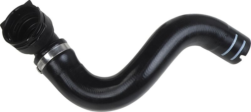 Radiator Hose -