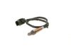 Oxygen Sensor -