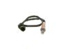 Oxygen Sensor -