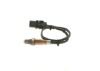 Oxygen Sensor -