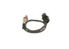 Oxygen Sensor -