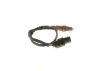 Oxygen Sensor -