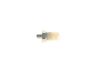 Oil Pressure Switch -