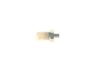 Oil Pressure Switch -
