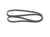 V-Ribbed Belt -