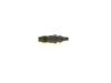 Nozzle and Holder Assembly 13 53 2 243 409 BMW