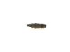 Nozzle and Holder Assembly 13 53 2 243 409 BMW