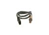 Oxygen Sensor -