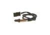 Oxygen Sensor -
