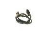 Oxygen Sensor -