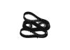 Timing Belt Kit -