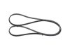 V-Ribbed Belt -