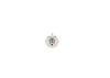 Oil Pressure Switch -