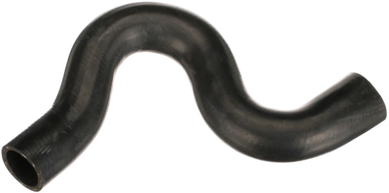 Radiator Hose -
