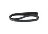 V-Ribbed Belt -