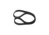 Timing Belt -