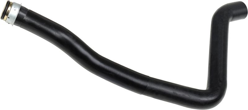 Radiator Hose -