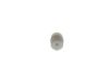 Fuel Filter -