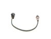 Oxygen Sensor -