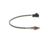 Oxygen Sensor -