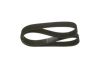 V-Ribbed Belt -