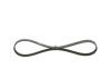 V-Ribbed Belt -