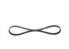V-Ribbed Belt -