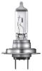 Bulb, spotlight H7 55 W blister
