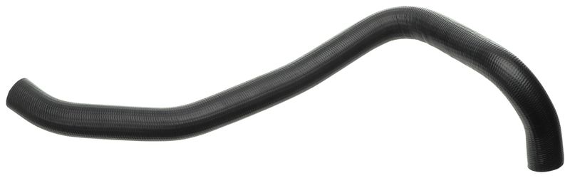 Radiator Hose -