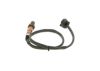 Oxygen Sensor -