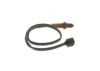 Oxygen Sensor -