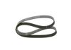 V-Ribbed Belt -