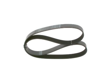 V-Ribbed Belt -