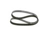 V-Ribbed Belt -