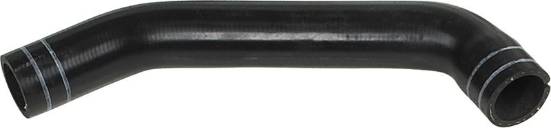 Radiator Hose -