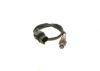 Oxygen Sensor -