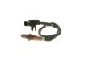 Oxygen Sensor -