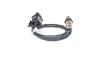Oxygen Sensor -