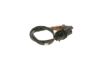 Oxygen Sensor -