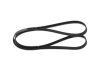 V-Ribbed Belt -