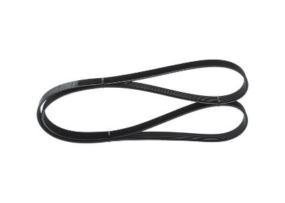 V-Ribbed Belt -