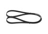 V-Ribbed Belt -