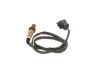 Oxygen Sensor -