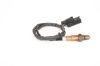 Oxygen Sensor -