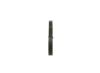 V-Ribbed Belt -