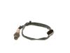 Oxygen Sensor -